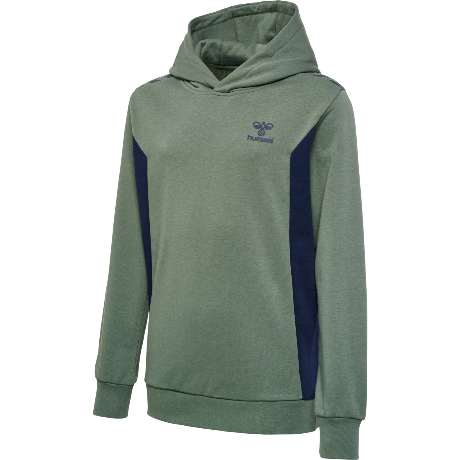 hmlSTALTIC COTTON HOODIE KIDS, 6770, packshot