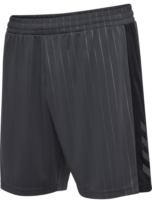 hmlPULSE STRIPE BLOCKED SHORTS, EBONY/BLACK, packshot