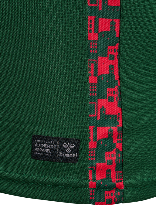 SDE 24/25 COMMUNITY JERSEY S/S, EDEN, packshot