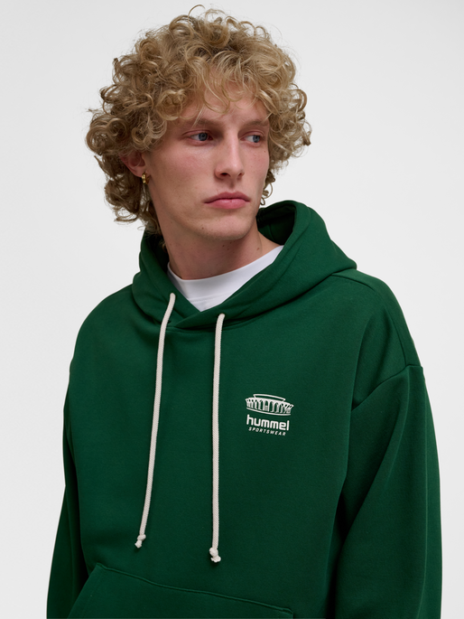 hmlLOOSE HOODIE BEES STADIUM, EDEN, model