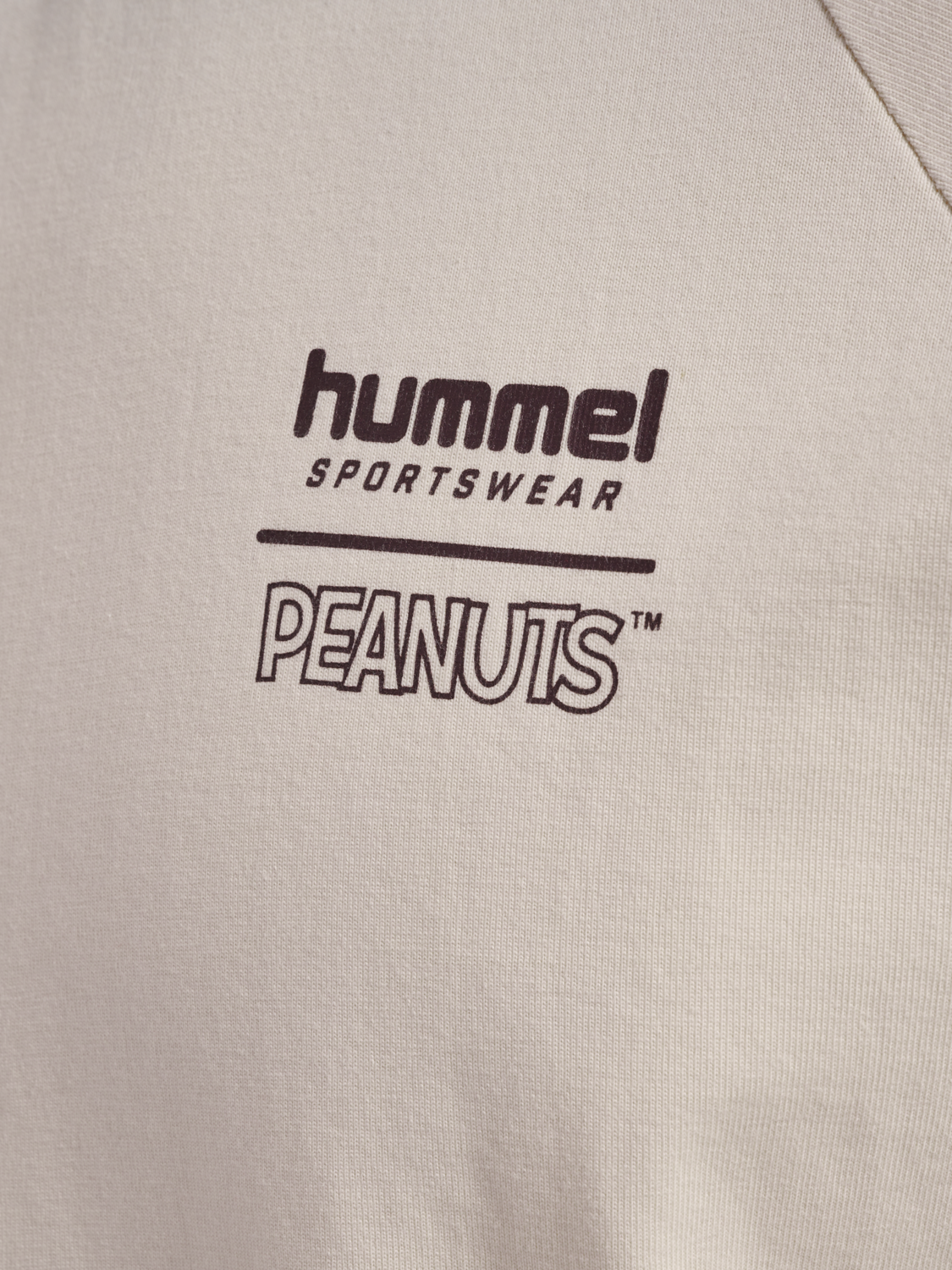 hmlARCHIVE T-SHIRT S/S PEANUTS, WHITECAP GRAY, packshot