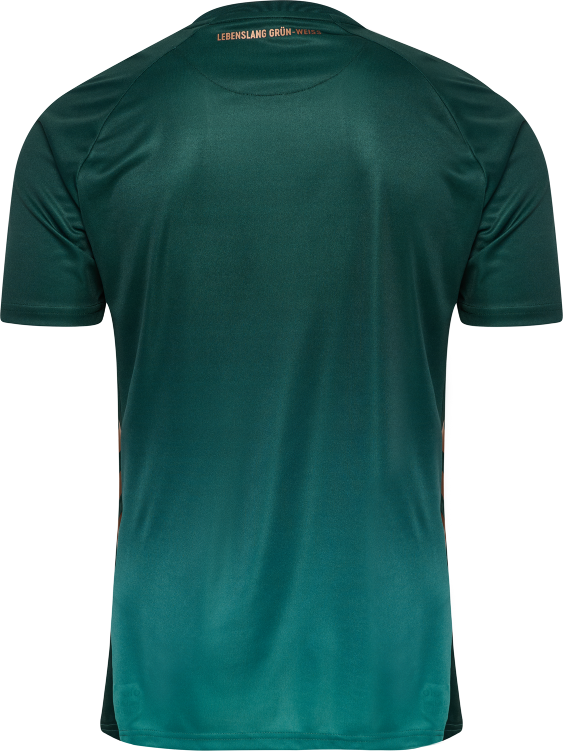 WER 25/26 3RD JERSEY S/S, SCARAB, packshot