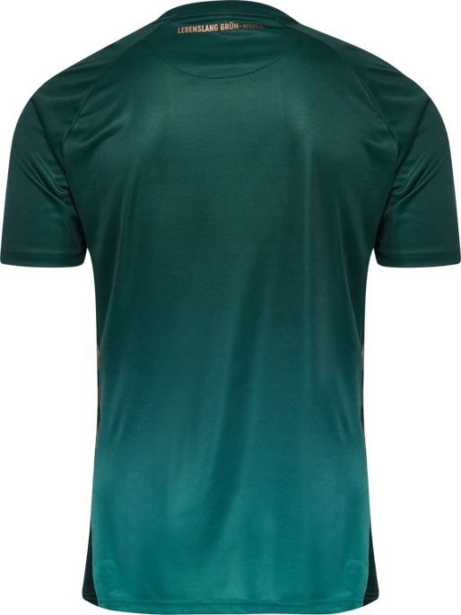 WER 25/26 3RD JERSEY S/S, SCARAB, packshot