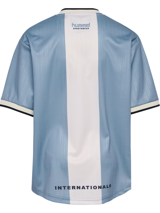 hmlJR LOOSE BALL  JERSEY S/S, FADED DENIM, packshot