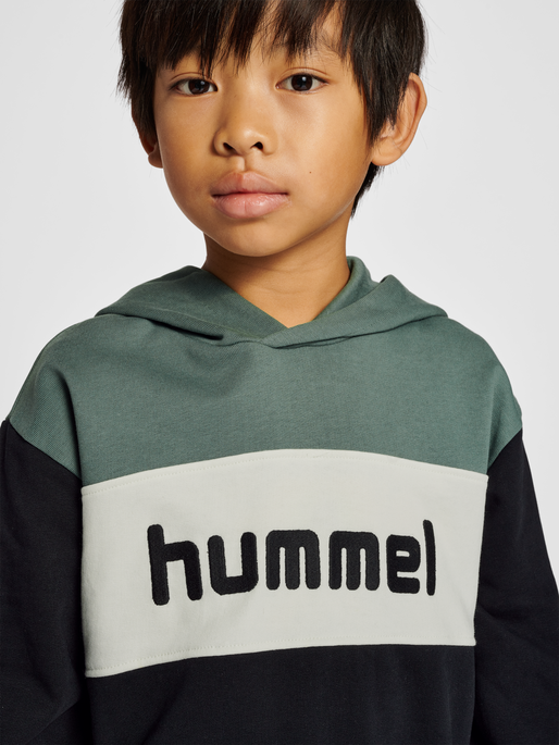 hmlMORTEN HOODIE, 6575, model