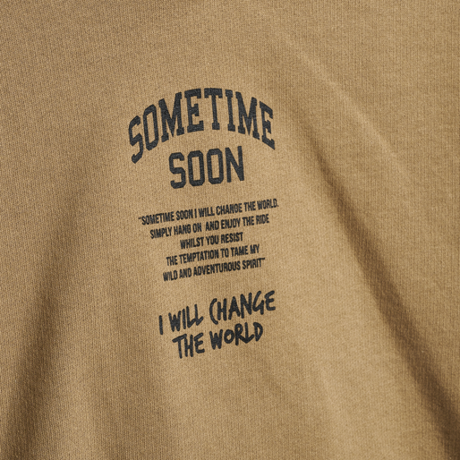 stmDIMAS HOODIE, SEPIA TINT, packshot